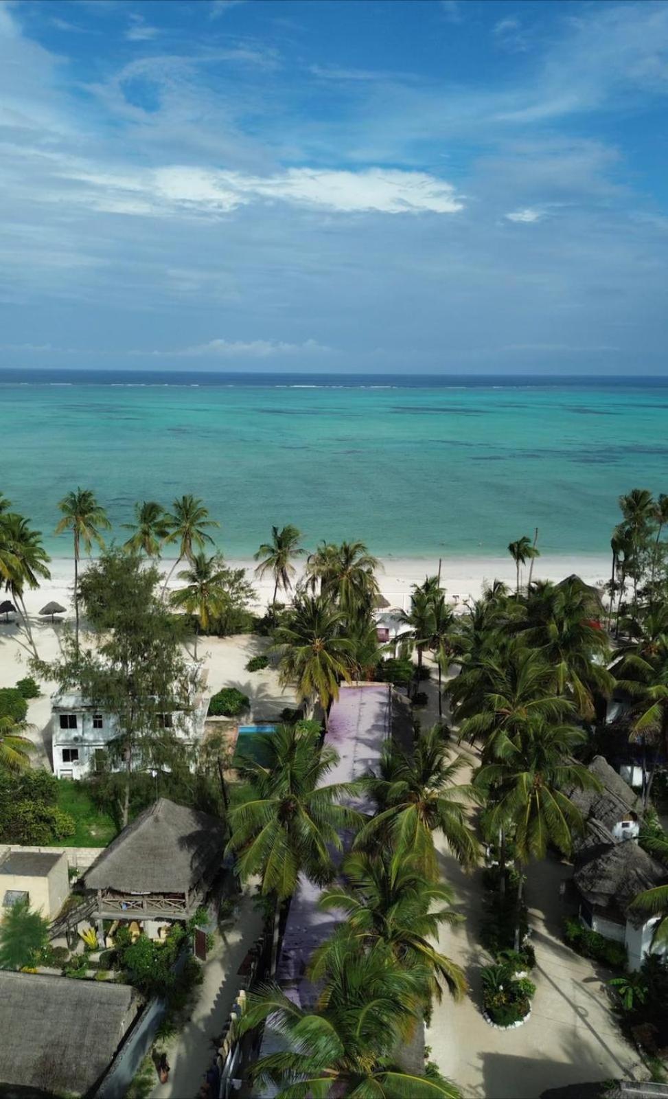 Your Zanzibar Place Hostel Paje Exterior photo